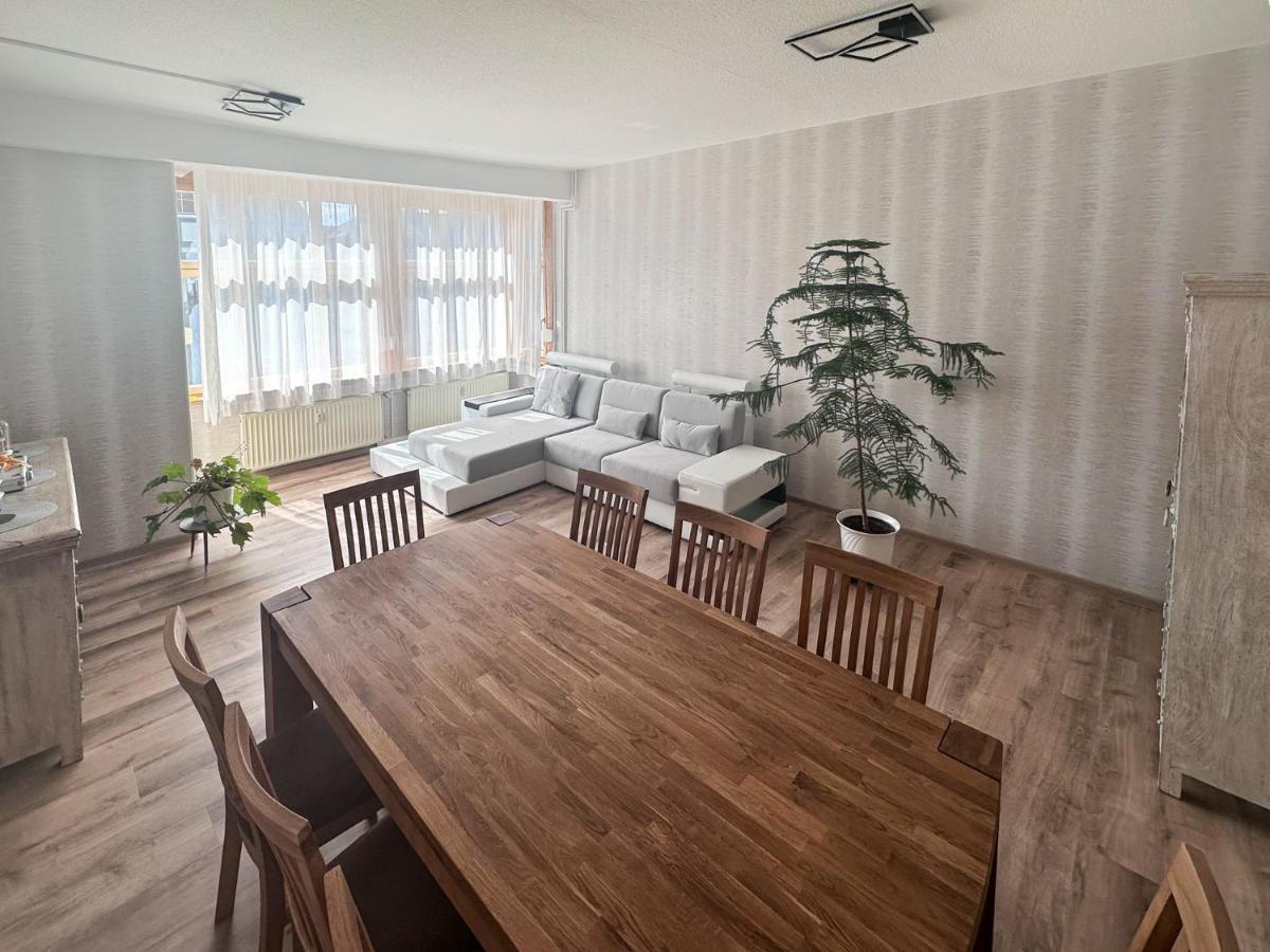 Schoene Altbauwohnung Mit Grosser Sonnenterrasse Rudolstadt Exteriör bild