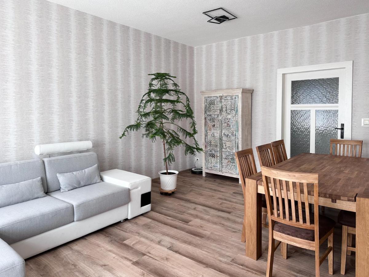 Schoene Altbauwohnung Mit Grosser Sonnenterrasse Rudolstadt Exteriör bild